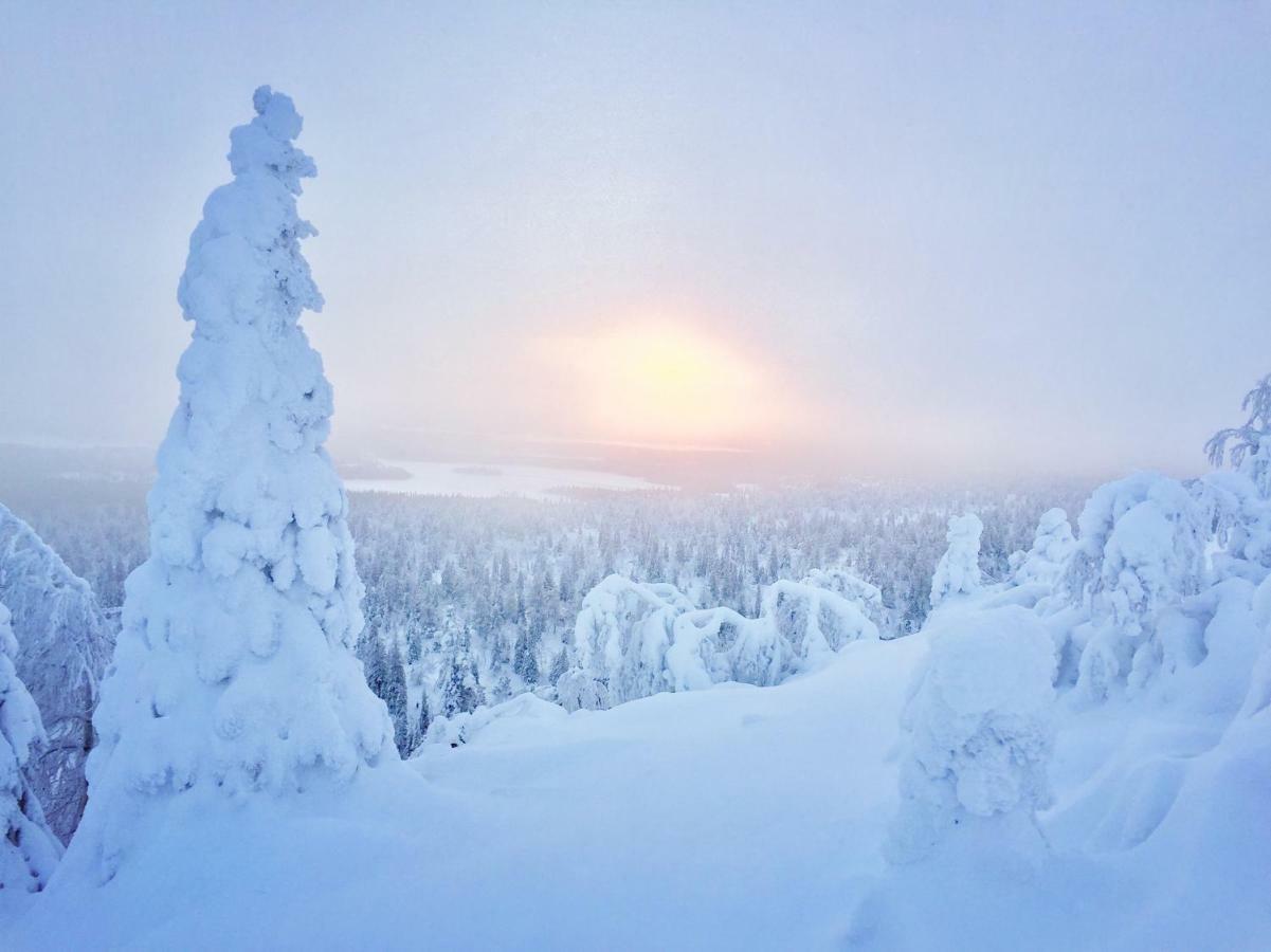 Villa Saarua By The Slopes Ski In, Family & Bike Park, Hike Trails, National Park, Wifi - Lapland Villas Ruka Exterior foto