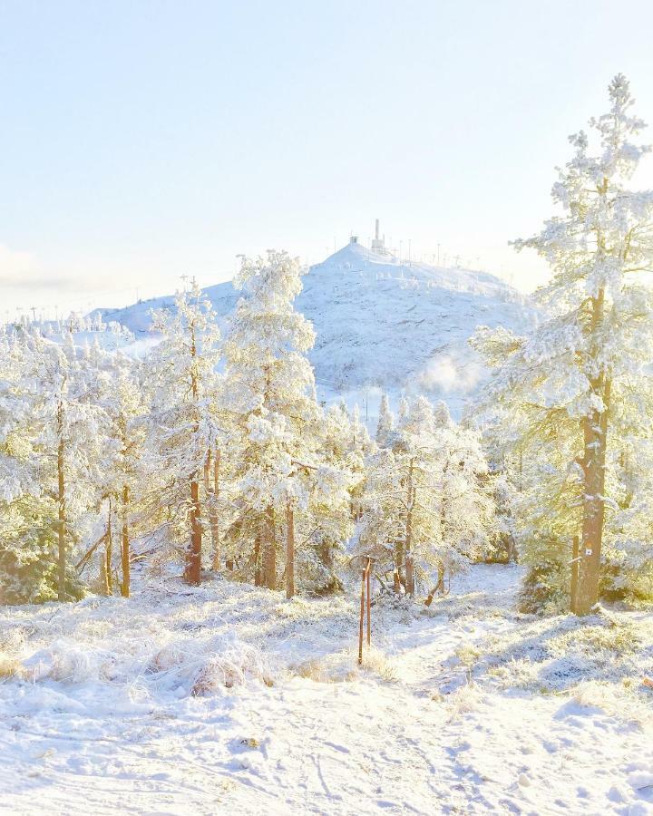 Villa Saarua By The Slopes Ski In, Family & Bike Park, Hike Trails, National Park, Wifi - Lapland Villas Ruka Exterior foto