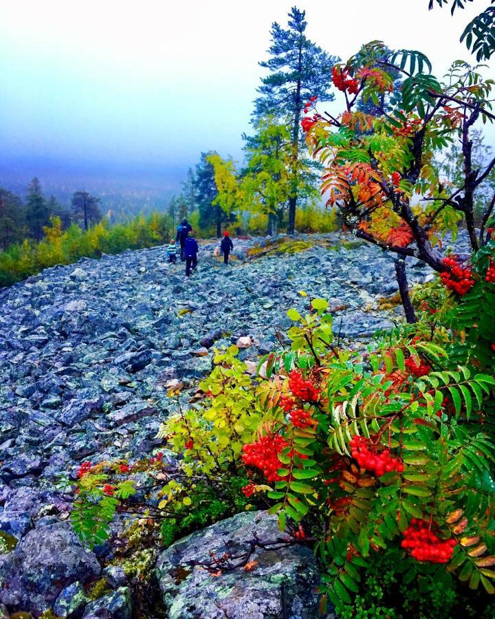 Villa Saarua By The Slopes Ski In, Family & Bike Park, Hike Trails, National Park, Wifi - Lapland Villas Ruka Exterior foto